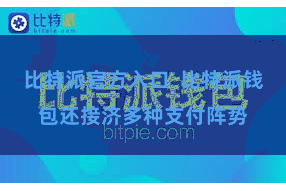 比特派官方入口 比特派钱包还接济多种支付阵势