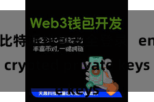 比特派钱包安全登录   encrypted private keys